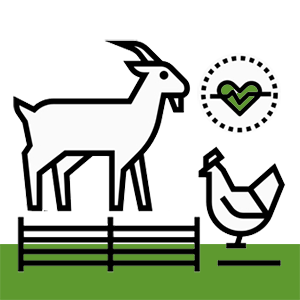 livestock health